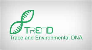 Logo Design by Simpleqmedia