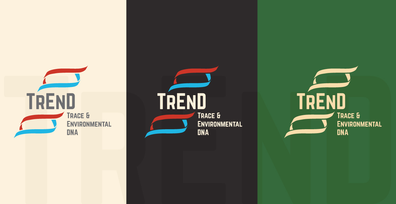 Diseño de Logo por logobriefs para este proyecto | Diseño #4278451