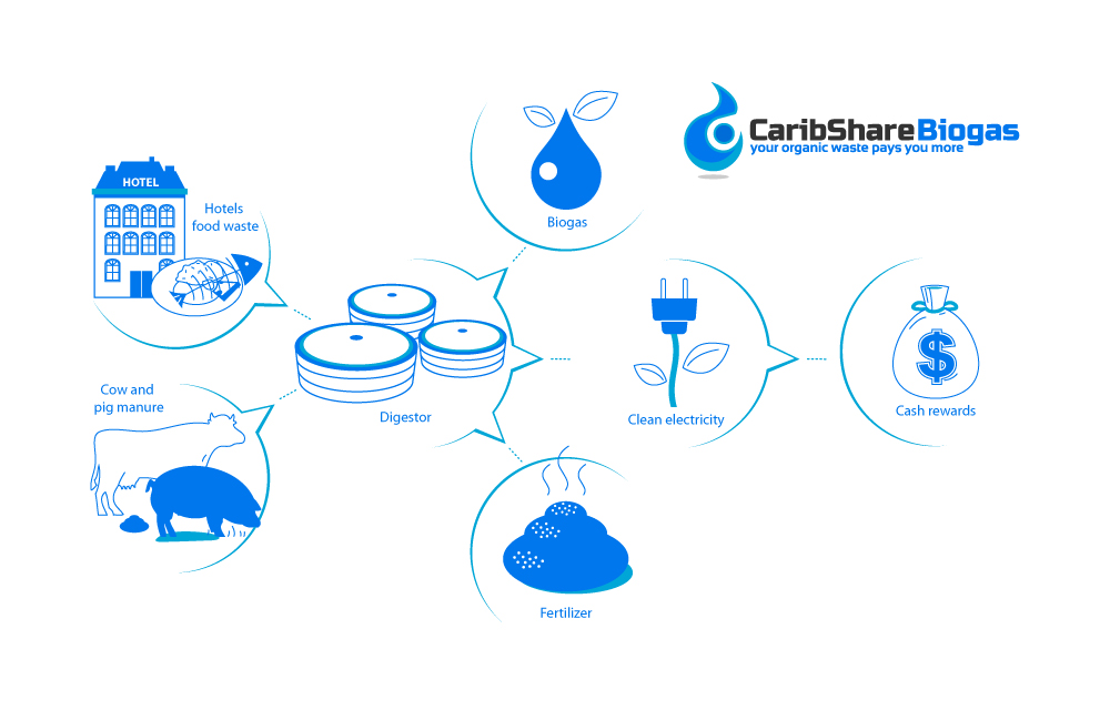 Infographic Design by vandes for this project | Design #1219791
