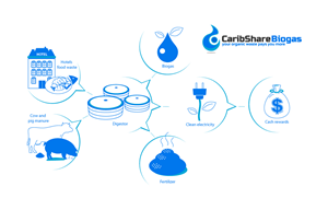 Design Infographie par vandes pour ce projet | Design : #1219791