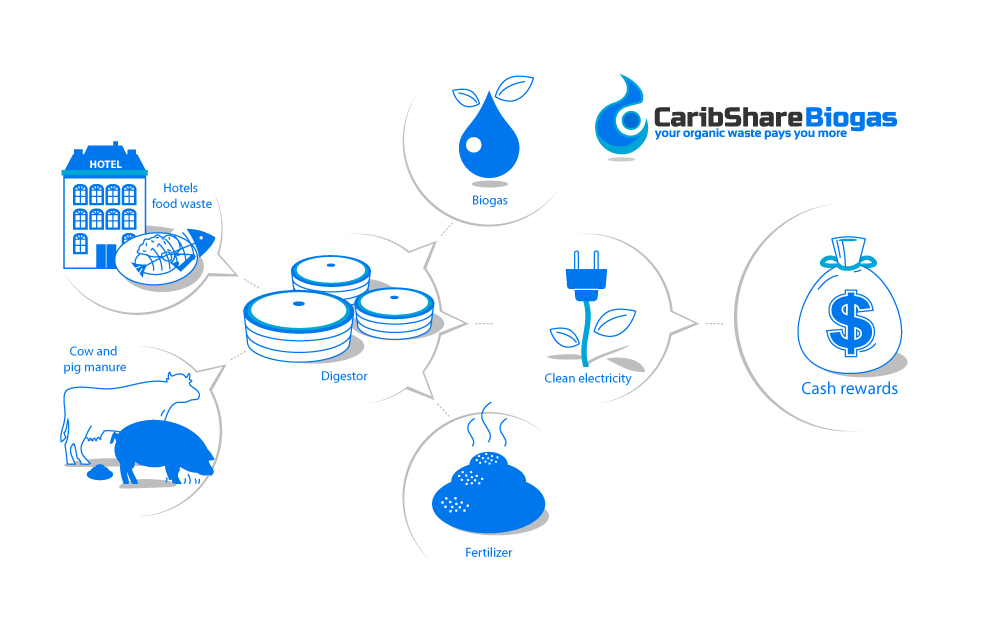 Design Infographie par vandes pour ce projet | Design #1219792
