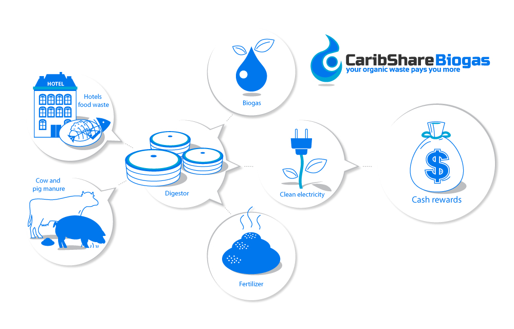 Infographic Design by vandes for this project | Design #1219797