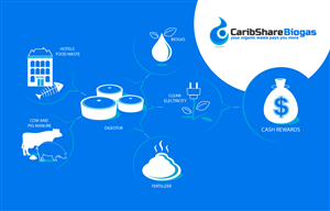 Design Infographie par vandes pour ce projet | Design : #1219800