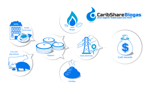 Design Infographie par vandes pour ce projet | Design : #1220752