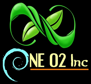 Logo Design by RNG