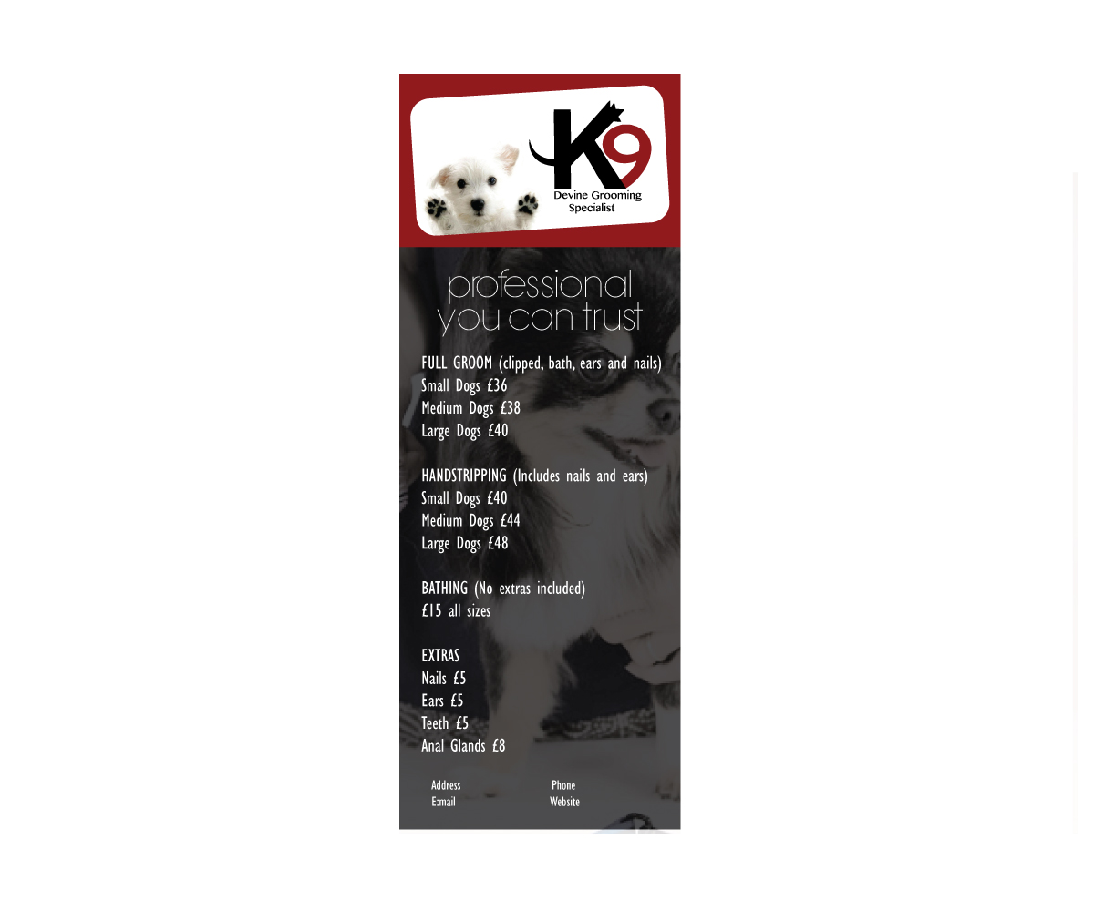 Design de Flyer par  Pehday pour ce projet | Design #4290718