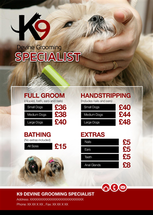 Flyer Design by AQKhan
