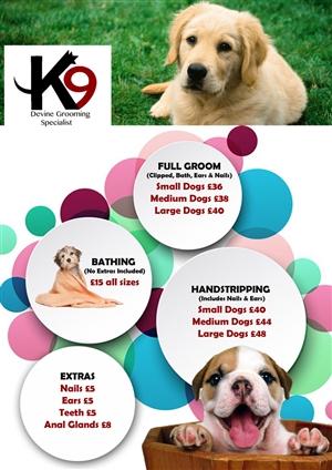 Flyer Design by ashish_maurya