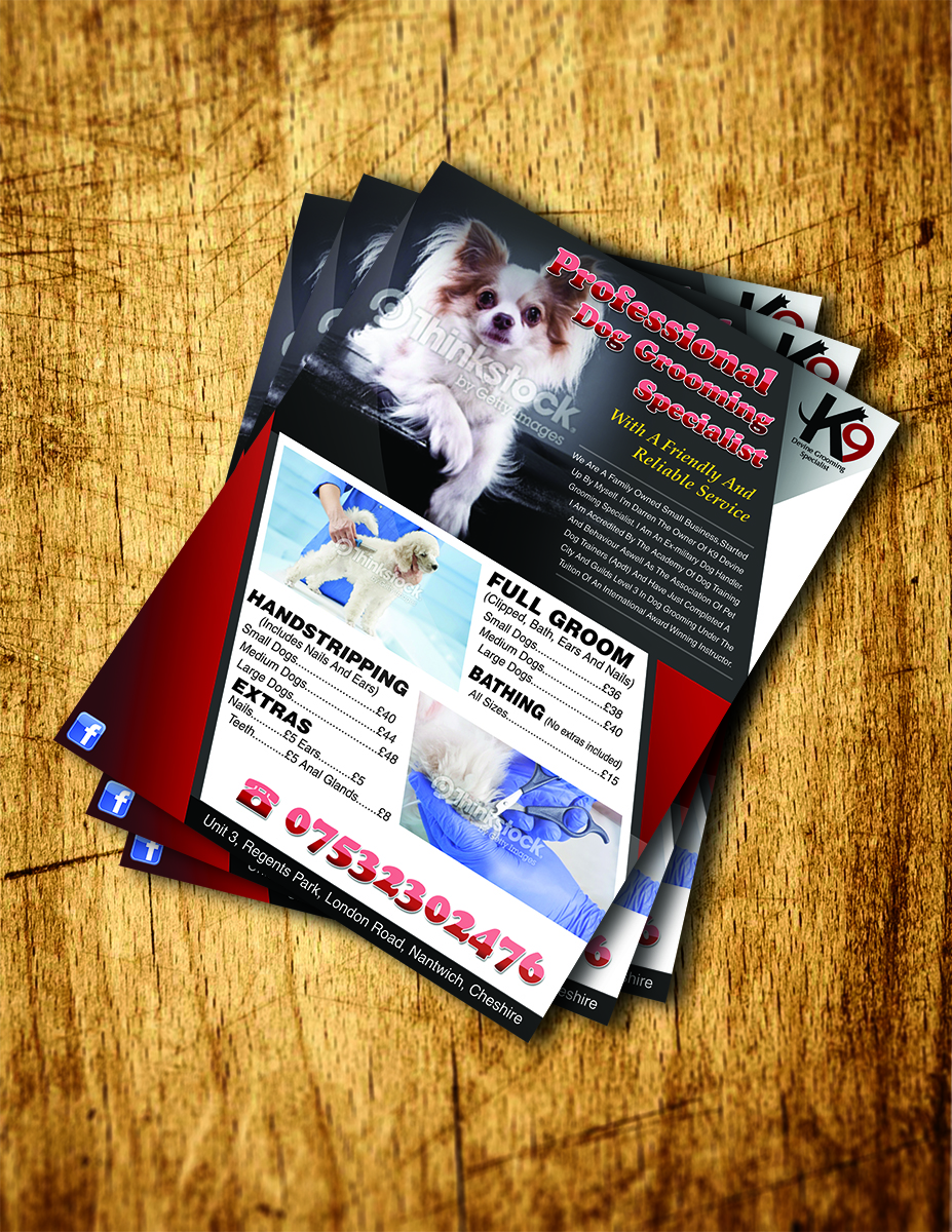 Diseño de Flyer por tehboxcar para este proyecto | Diseño #4286883