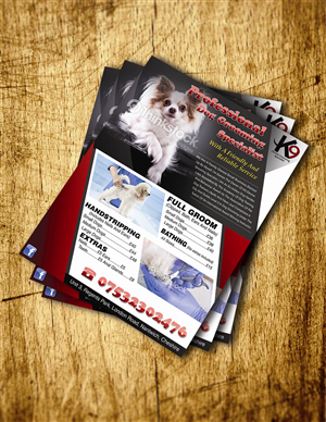 Flyer Design by tehboxcar