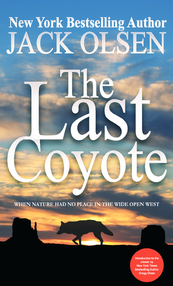 Book Cover Design by Jarneyoneil.com for this project | Design #4263186