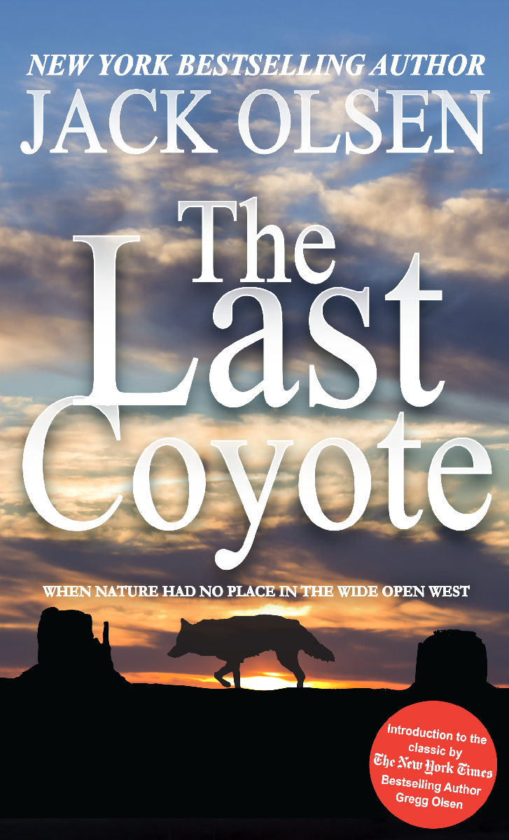 Book Cover Design by Jarneyoneil.com for this project | Design #4263346