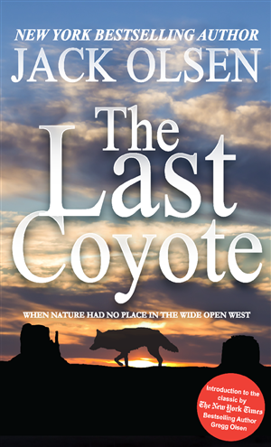 Book Cover Design by Jarneyoneil.com for this project | Design: #4263346