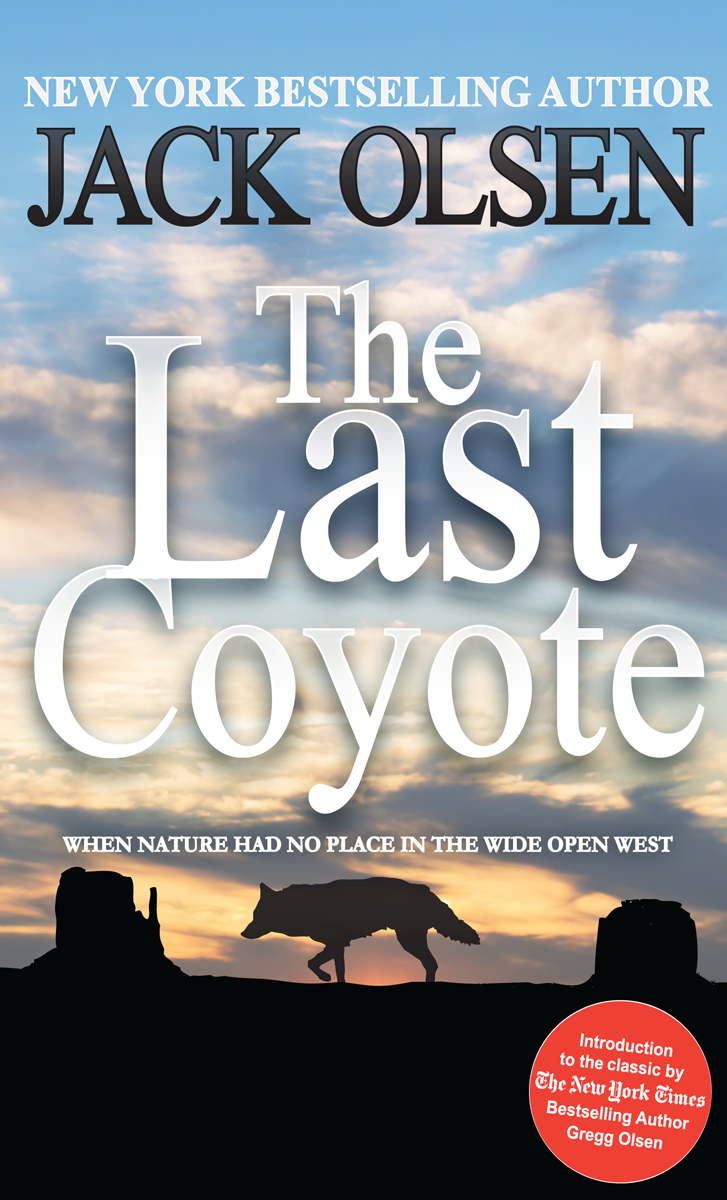 Book Cover Design by Jarneyoneil.com for this project | Design #4263916