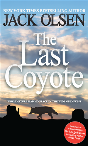 Book Cover Design by Jarneyoneil.com for this project | Design #4280204