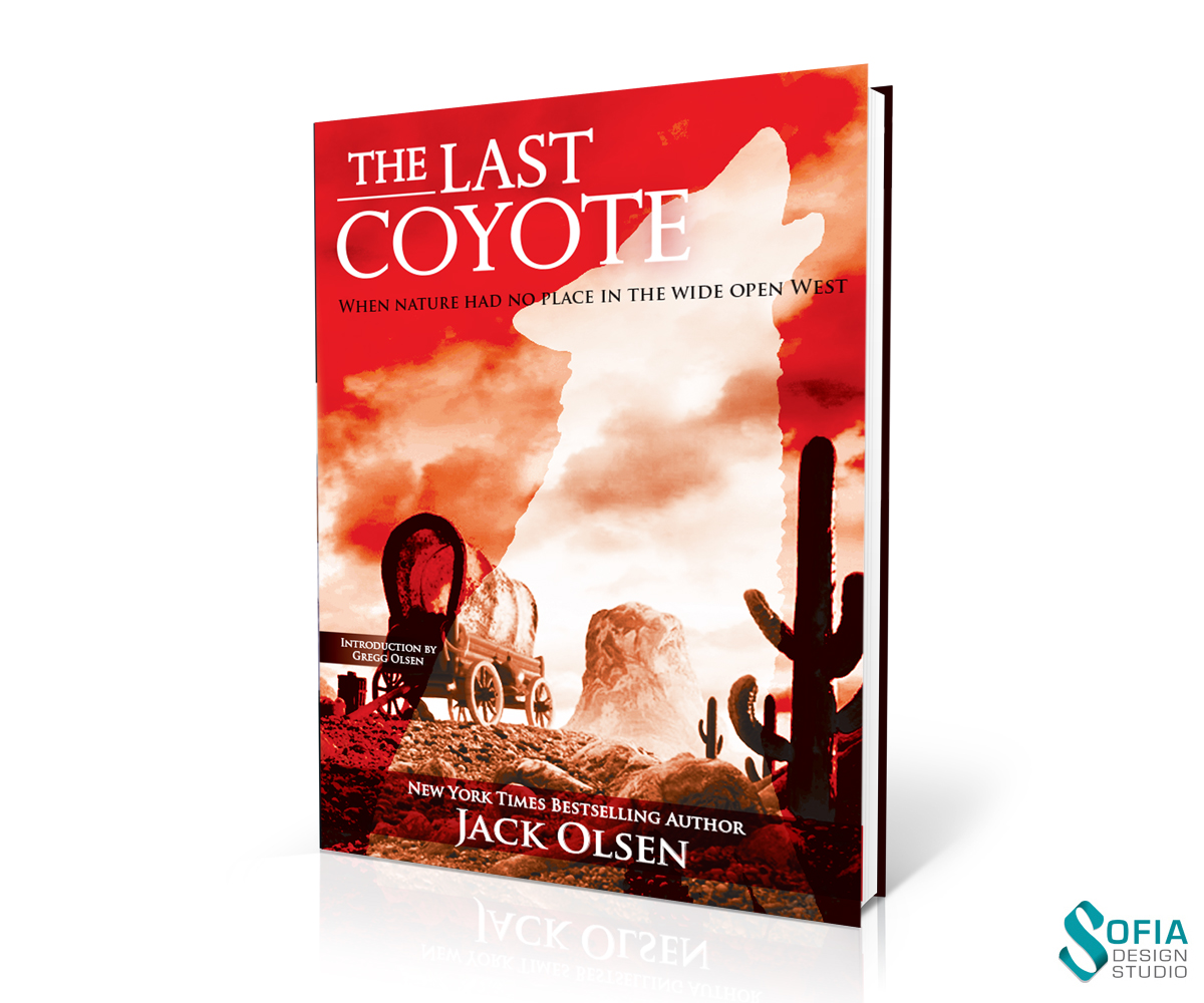 Book Cover Design by SofiaDesignStudio for this project | Design #4318836