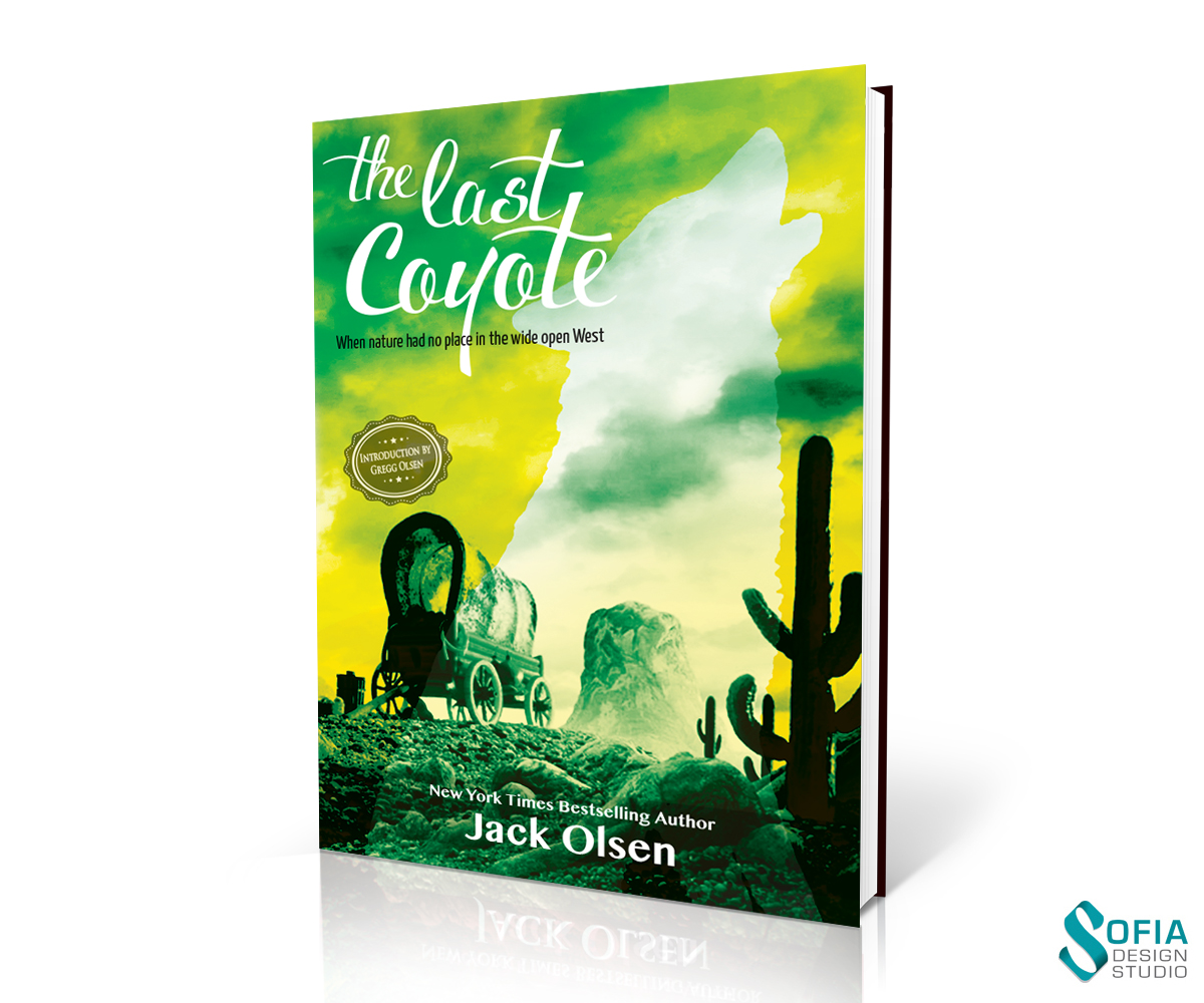 Book Cover Design by SofiaDesignStudio for this project | Design #4318957