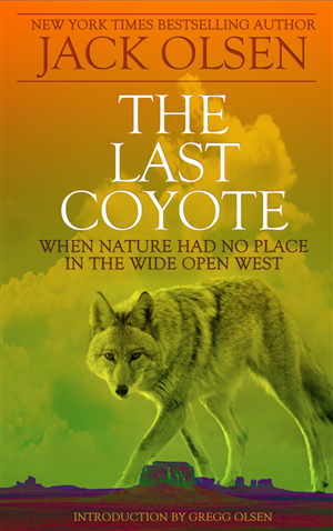 Book Cover Design by Bunker Monkey Creative