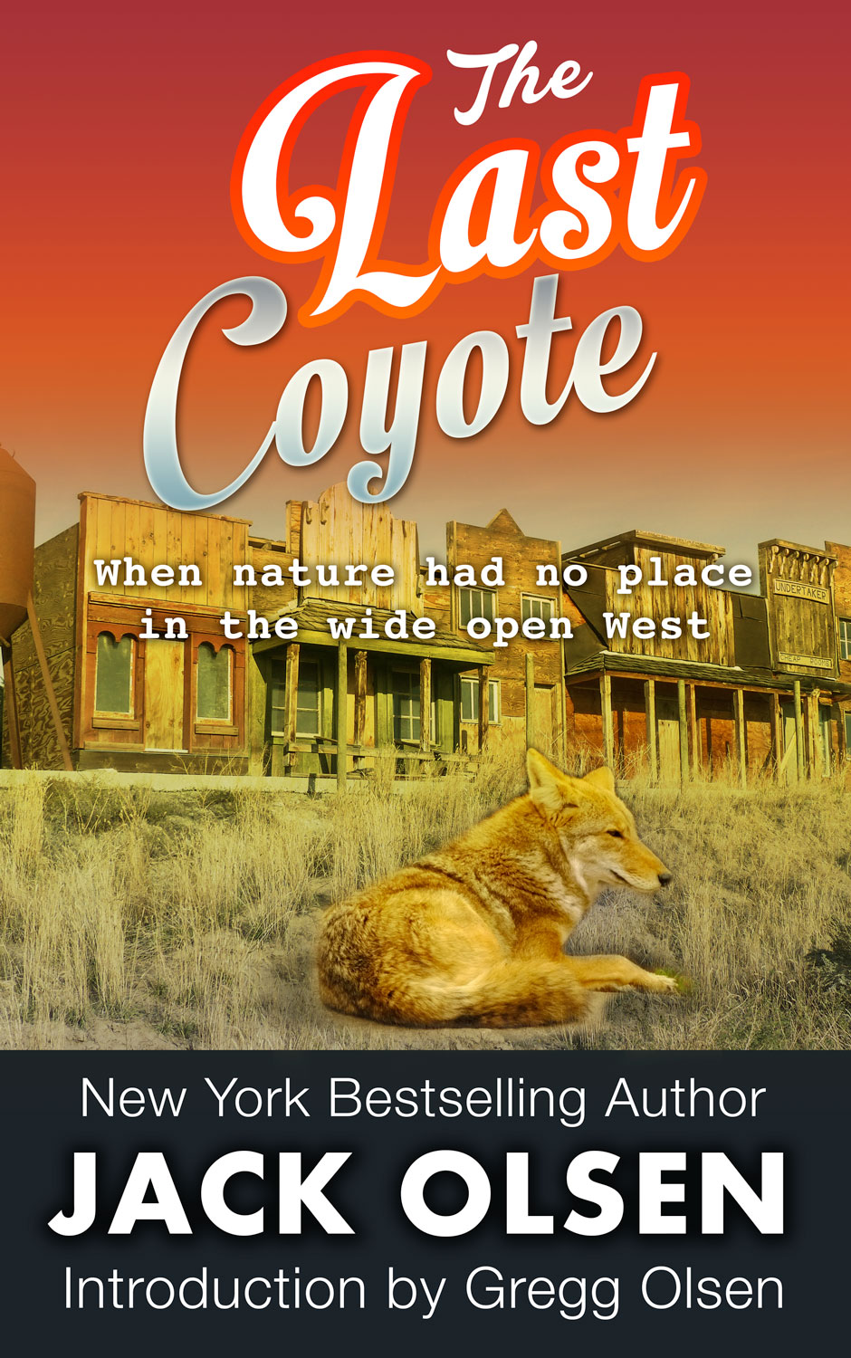 Book Cover Design by artistraman for this project | Design #4268600