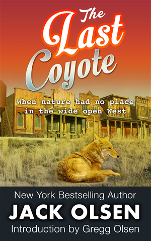 Book Cover Design by artistraman