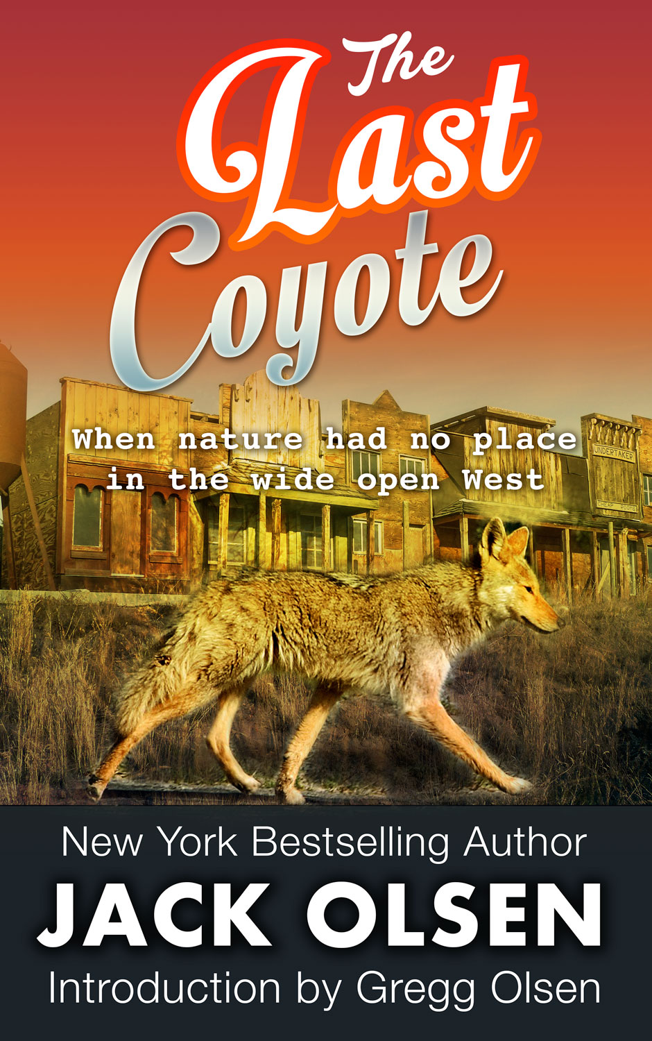 Book Cover Design by artistraman for this project | Design #4268614