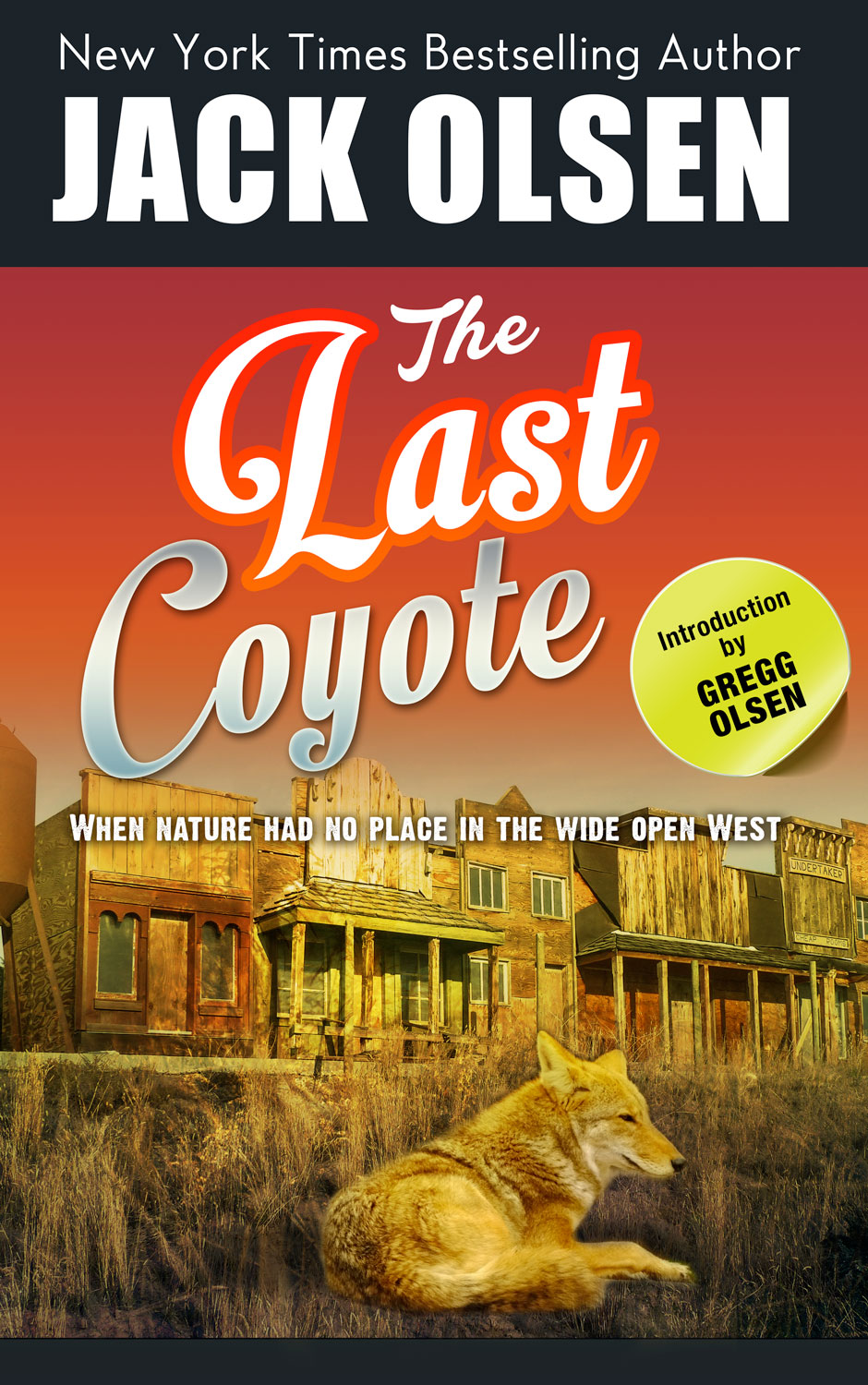 Book Cover Design by artistraman for this project | Design #4271557