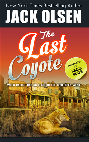 Book Cover Design by artistraman for this project | Design: #4271557