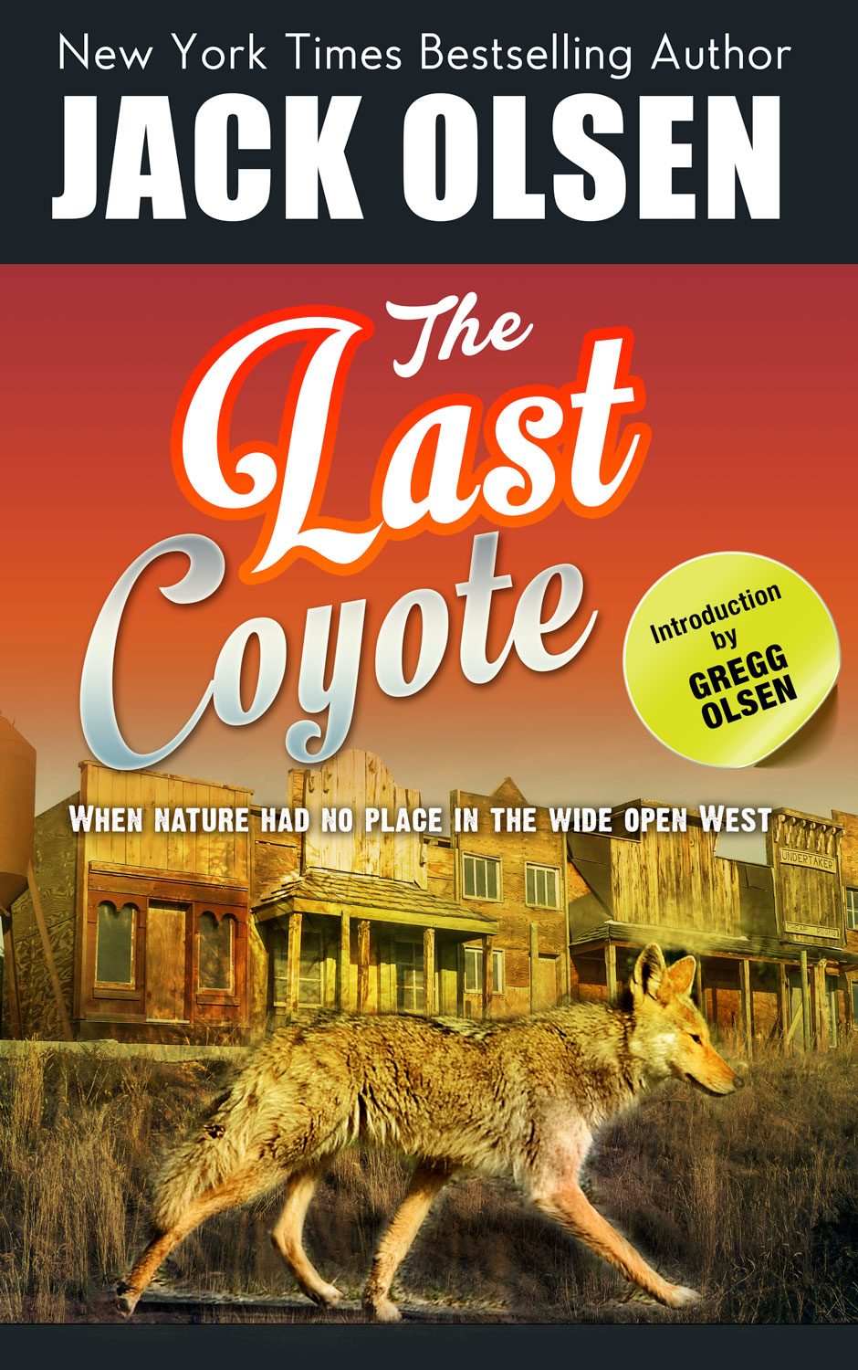 Book Cover Design by artistraman for this project | Design #4271567