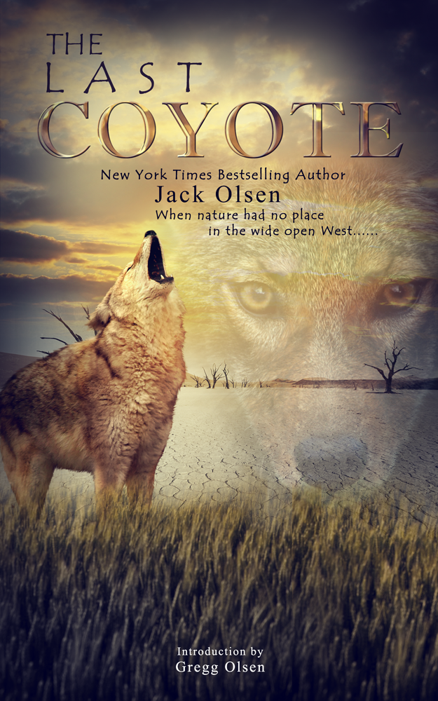 Book Cover Design by Vixer for this project | Design #4275322