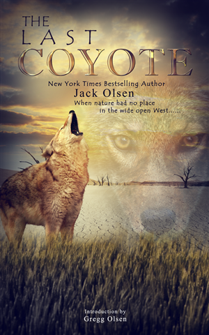 Book Cover Design by Vixer for this project | Design: #4275322