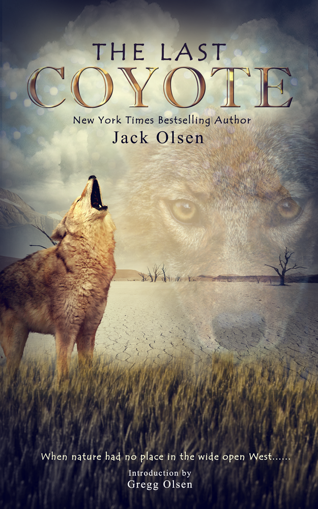 Book Cover Design by Vixer for this project | Design #4275378