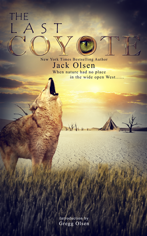 Book Cover Design by Vixer for this project | Design: #4275379