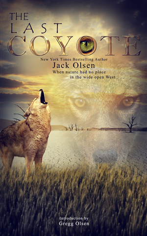 Book Cover Design by Vixer for this project | Design: #4275381