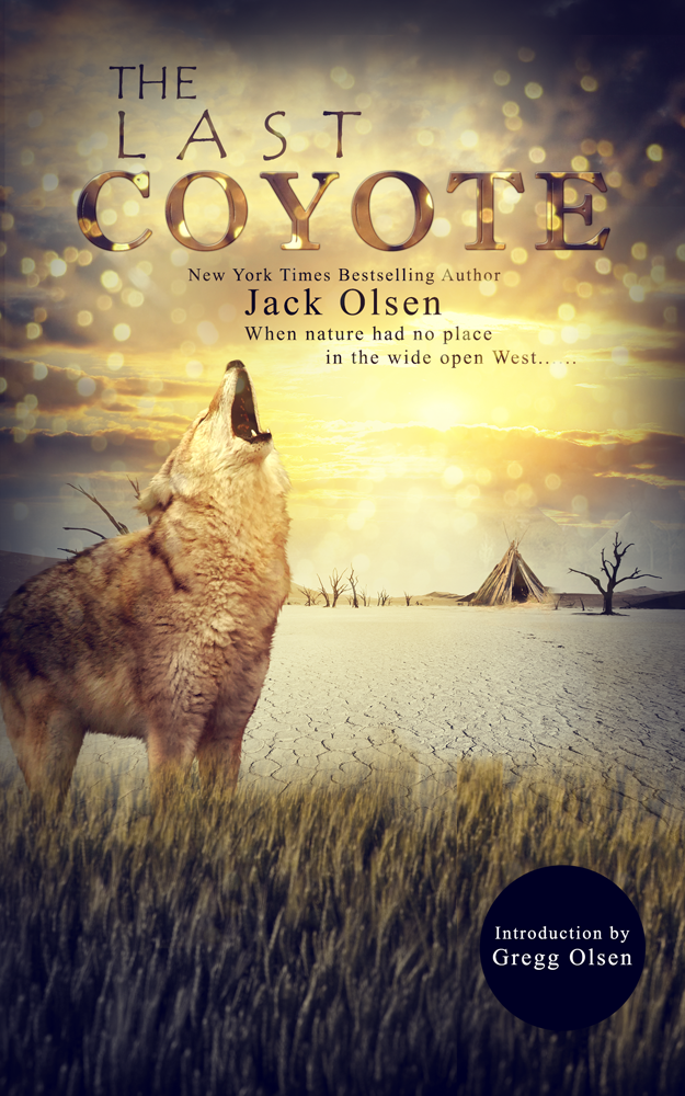 Book Cover Design by Vixer for this project | Design #4275388