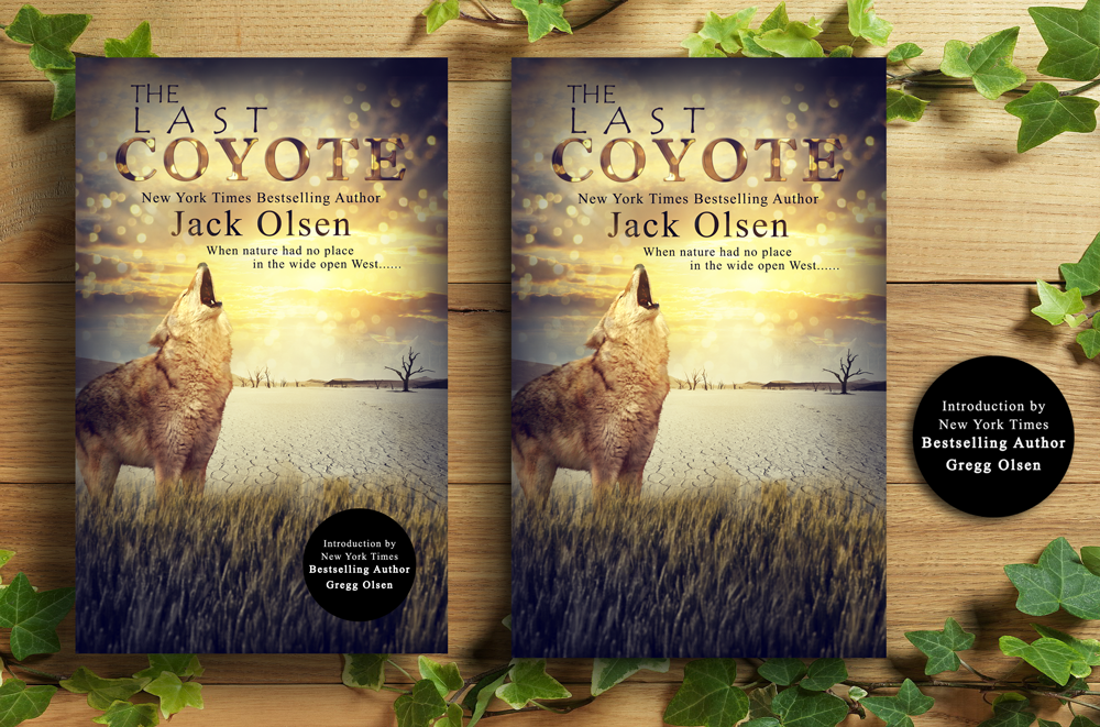 Book Cover Design by Vixer for this project | Design #4277820