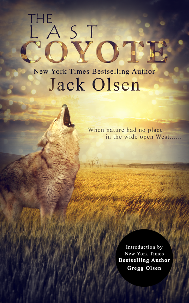 Book Cover Design by Vixer for this project | Design #4282784