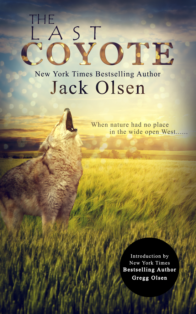 Book Cover Design by Vixer for this project | Design #4282793