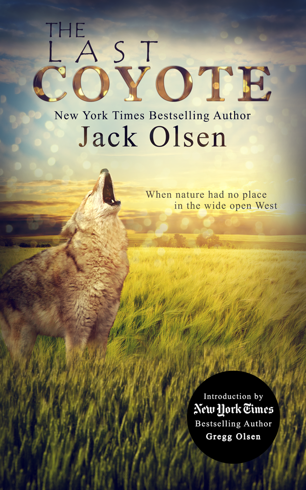 Book Cover Design by Vixer for this project | Design #4289504
