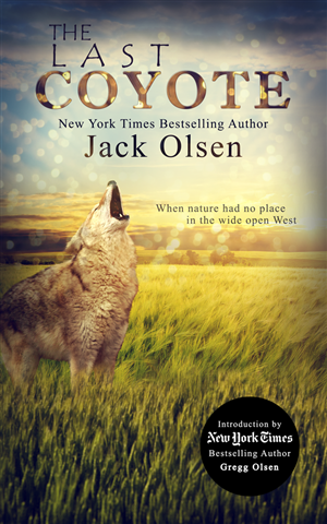 Book Cover Design by Vixer for this project | Design #4289504