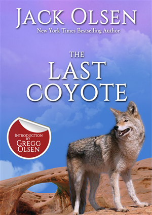 Book Cover Design by ordelya.nicole