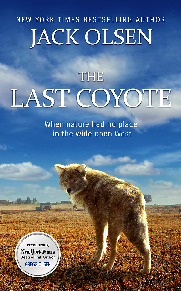Book Cover Design by Tavakoli  for this project | Design #4319712