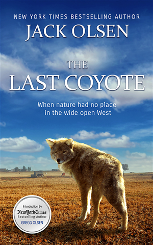 Book Cover Design by Tavakoli  for this project | Design #4319712
