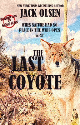 Book Cover Design by Stevie_Days