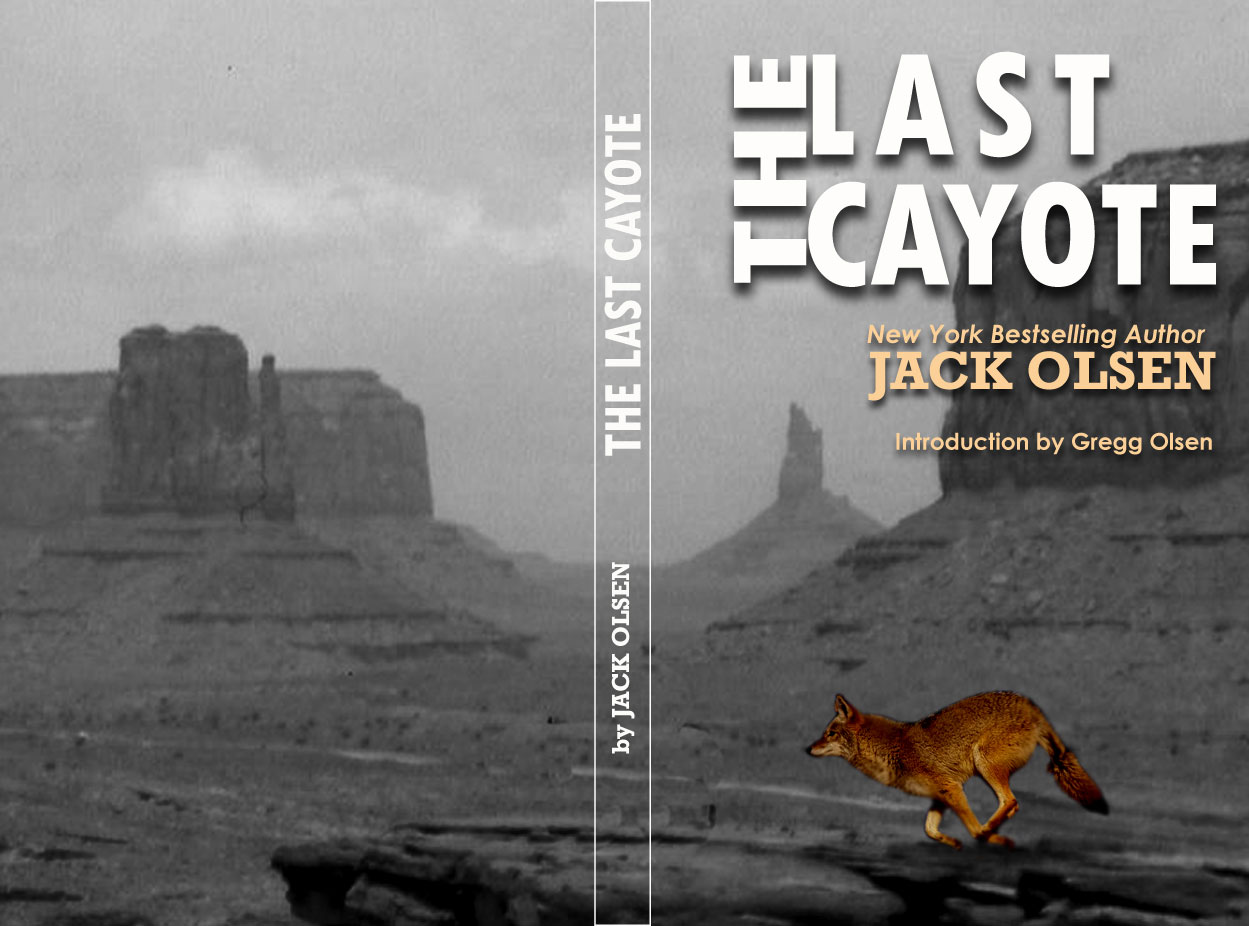 Book Cover Design by Bling Connect Ink for this project | Design #4258816