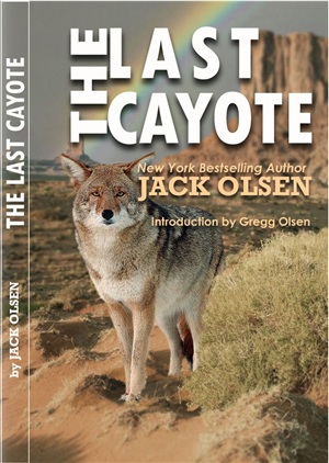 Book Cover Design by Bling Connect Ink for this project | Design: #4261905