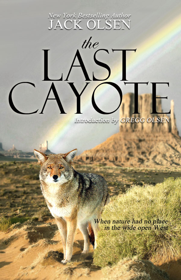 Book Cover Design by Bling Connect Ink for this project | Design #4263582