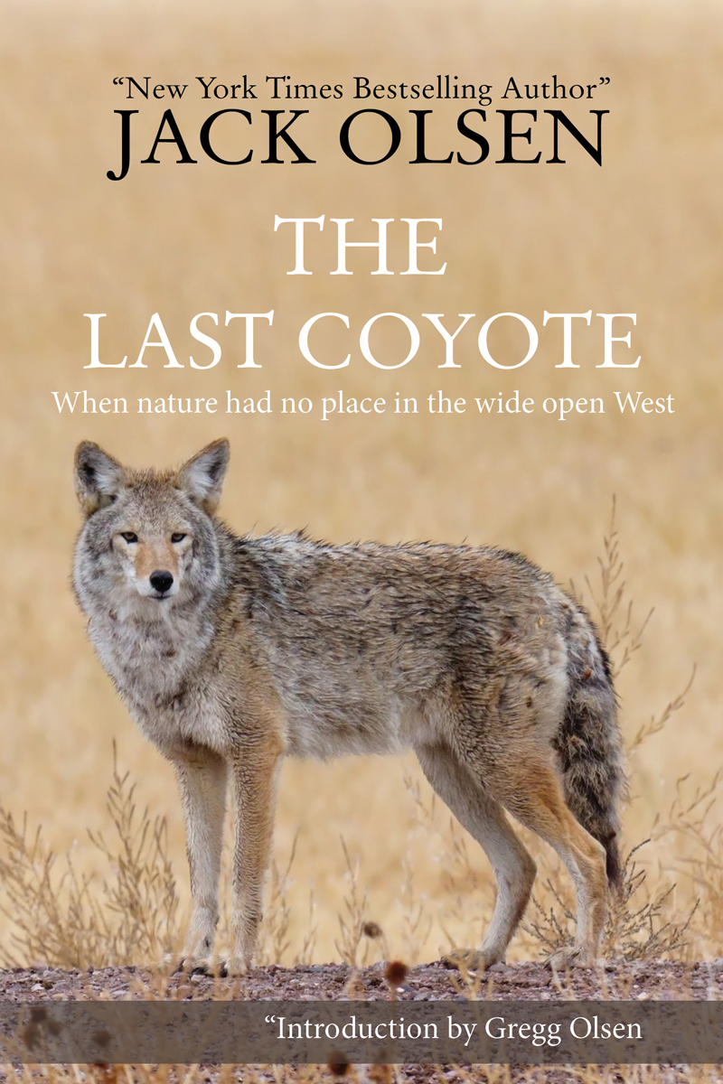 Book Cover Design by Mudboots for this project | Design #4302502