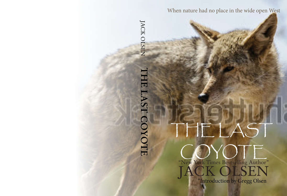 Book Cover Design by Mudboots for this project | Design #4302757