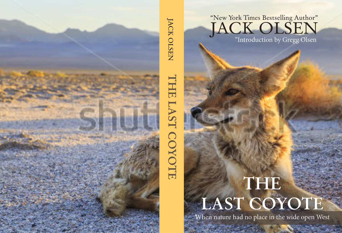Book Cover Design by Mudboots for this project | Design #4302765