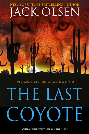 Book Cover Design by illuminati-design for this project | Design #4306877